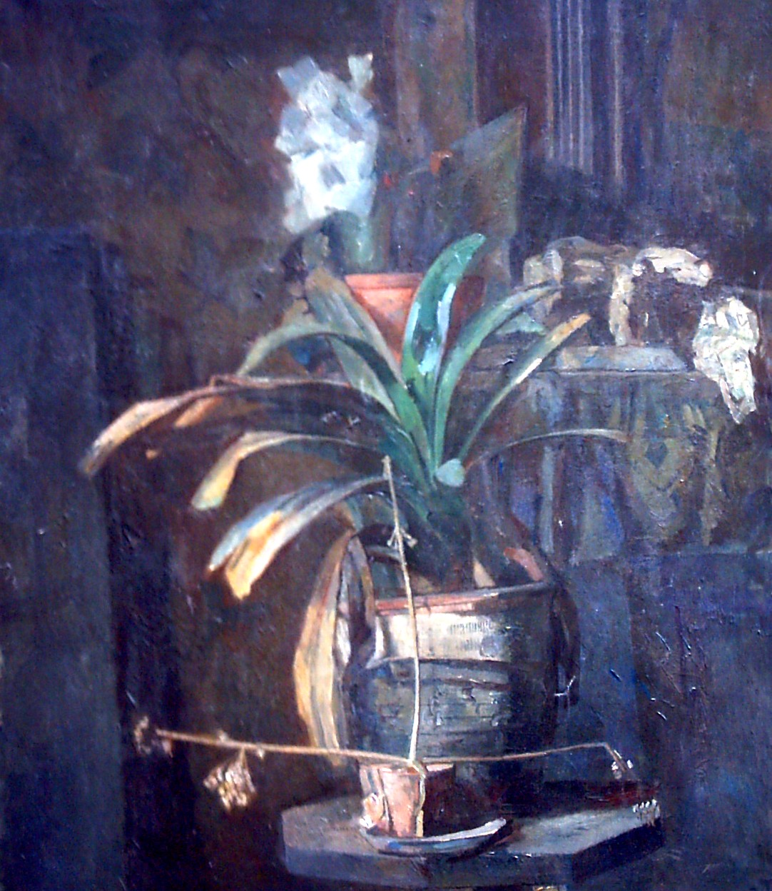 Henri Boot 1877-1963) | 'Stilleven met clivia'